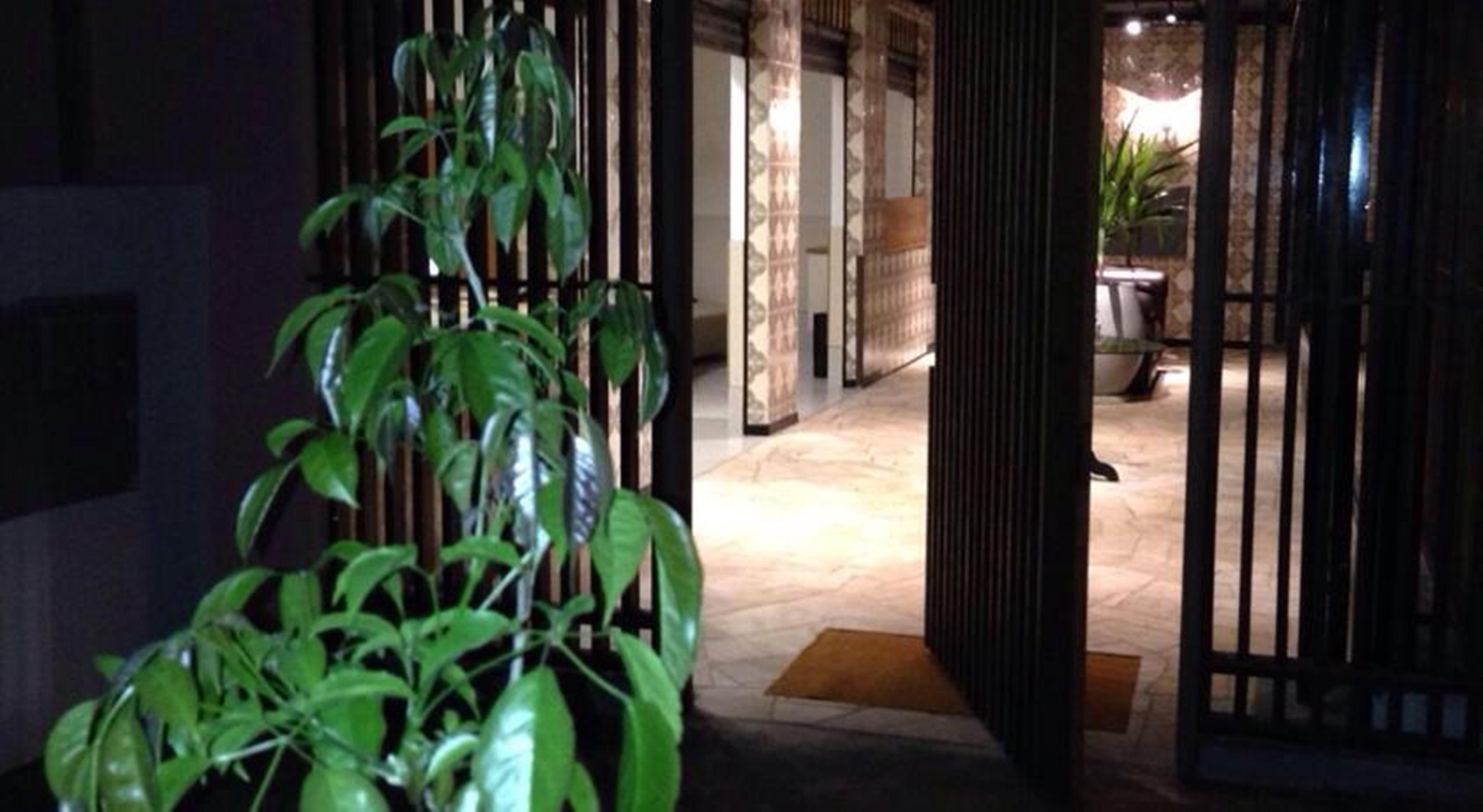 Vespasiano Hotel Telêmaco Borba Esterno foto